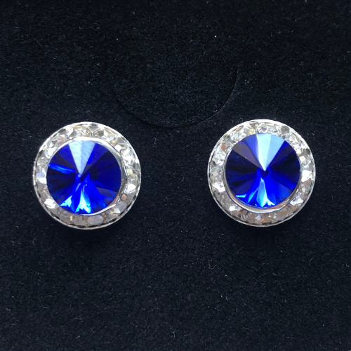 Royal Blue Earrings